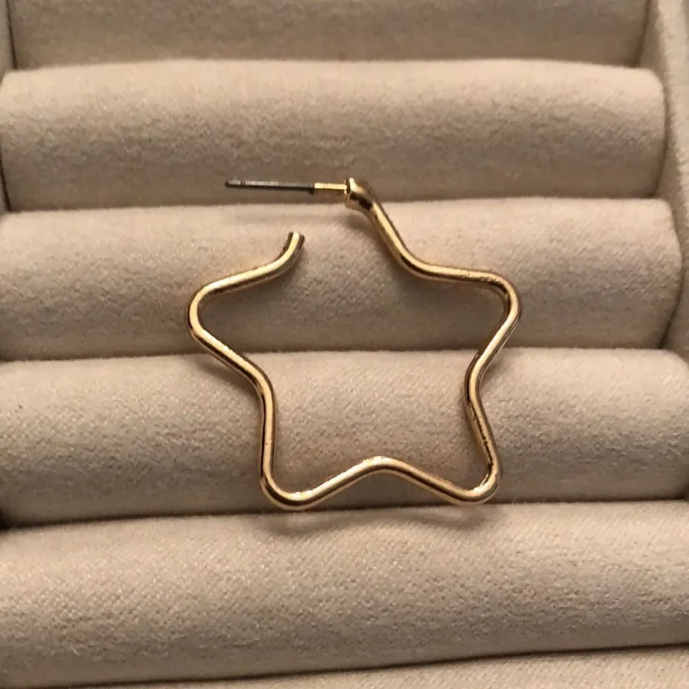 bp pair earring